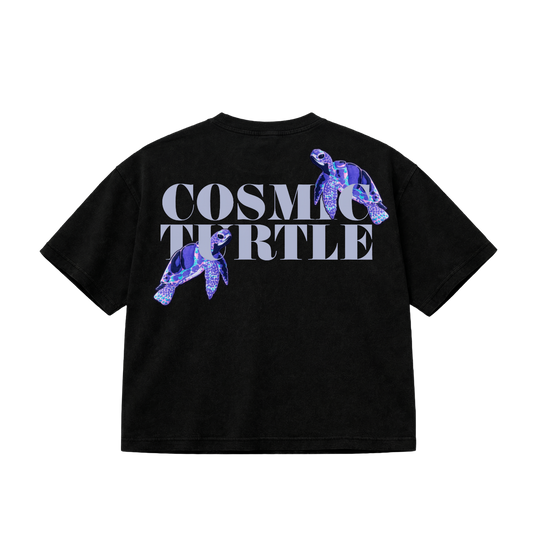 Cosmic Turtle