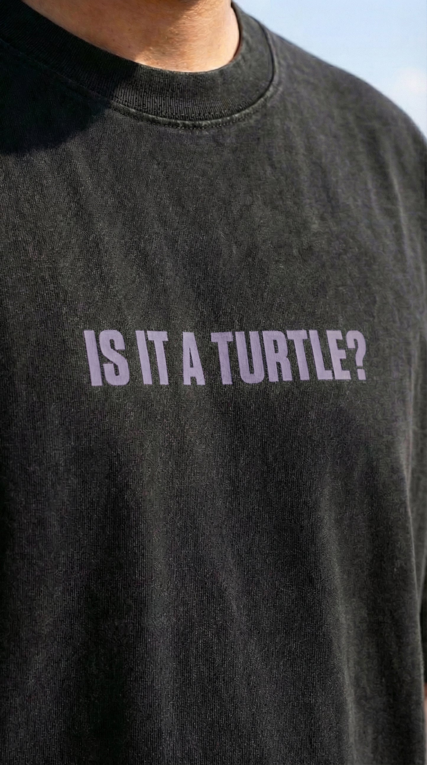 Cosmic Turtle